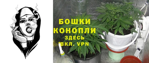 ешки Алексеевка