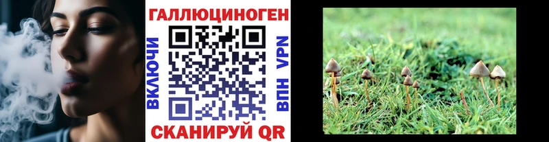 Галлюциногенные грибы Cubensis  Чёрмоз 